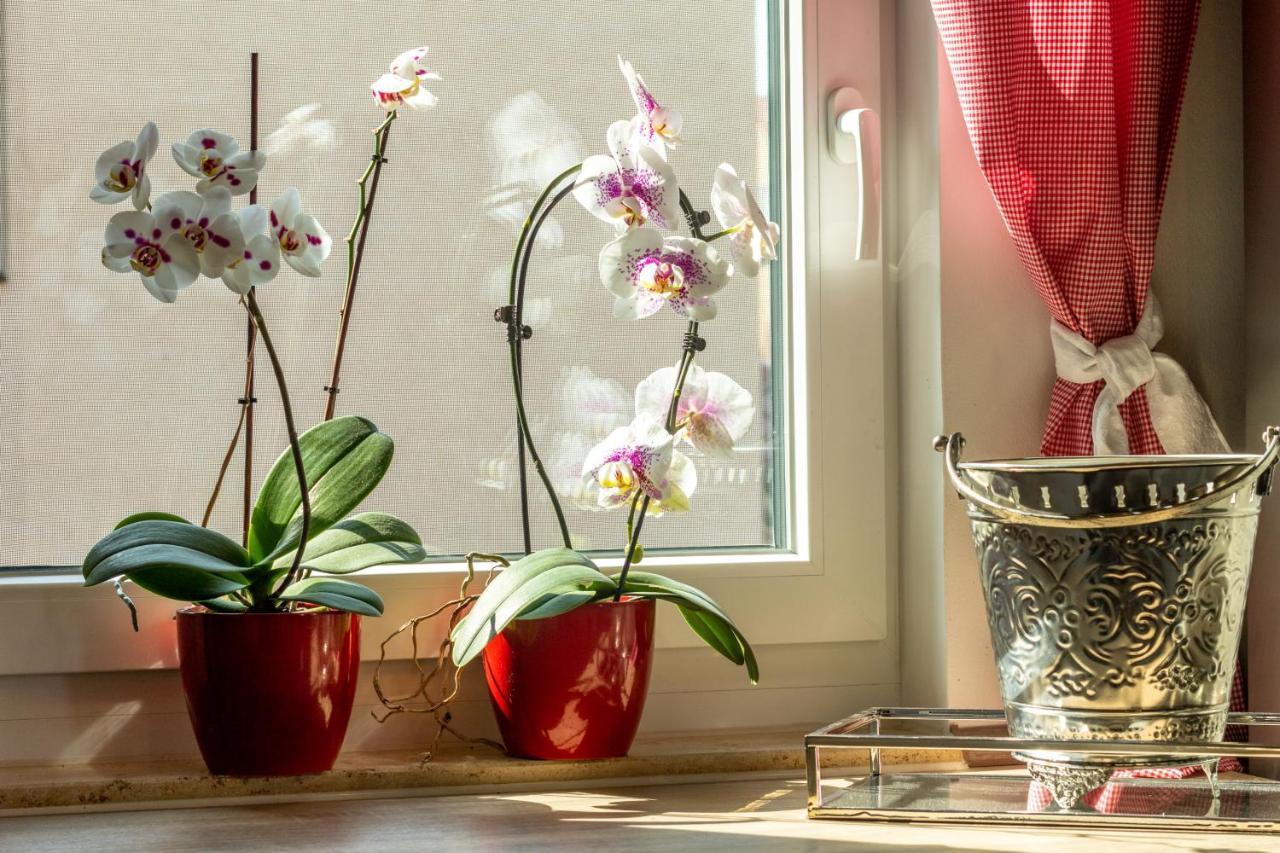 Ferienwohnung Jenzigblick Iéna Extérieur photo
